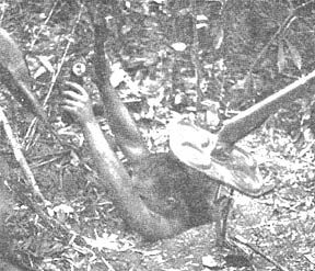 Tunnel Rat