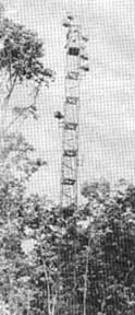 Microwave tower, Michelin Rubber Plantation