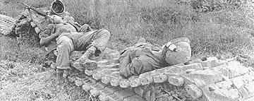 Taking a nap