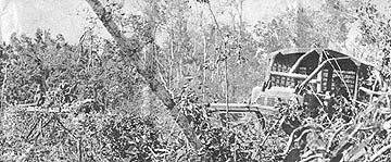 Clearing trees
