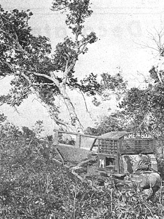 Rome plow removes forest