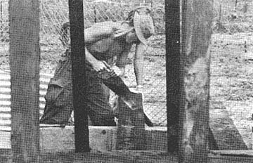 Sawing timber