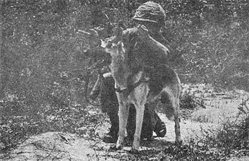 PFC Morris Summers and Scout Dog