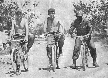Captured Bicycles