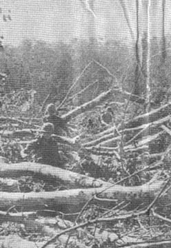 4/9th Infantry on reconnaissance