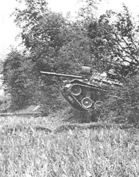 Crashing through hedgerow