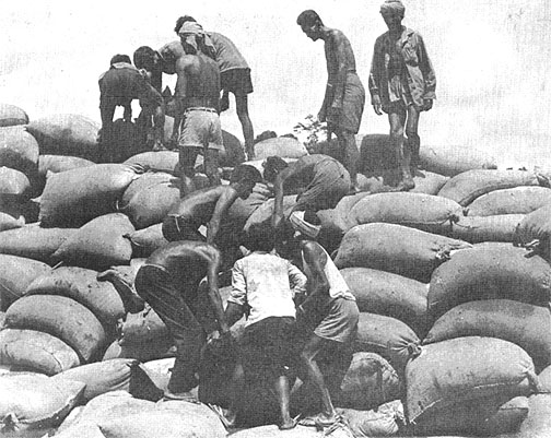 Stockpiling captured rice